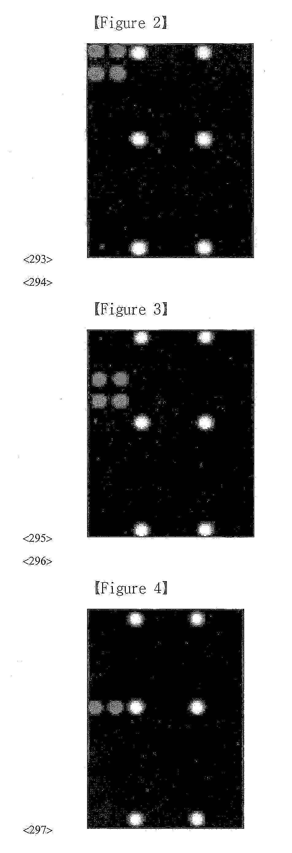 DNA chip, kit for detecting or genotyping bacteria causing sexually transmitted diseases, genotyping antibacterial drug resistance and detecting or genotyping method using the same