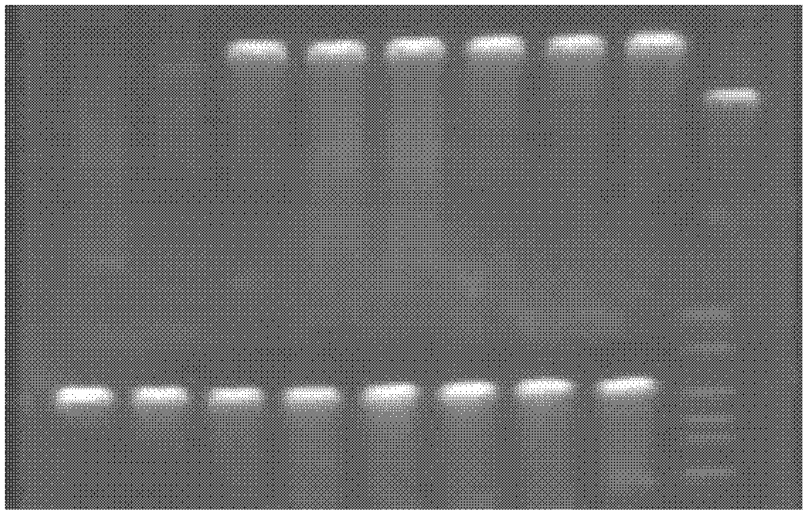 Primer composition for identifying HIV (human immunodeficiency virus) in assistance mode and application thereof