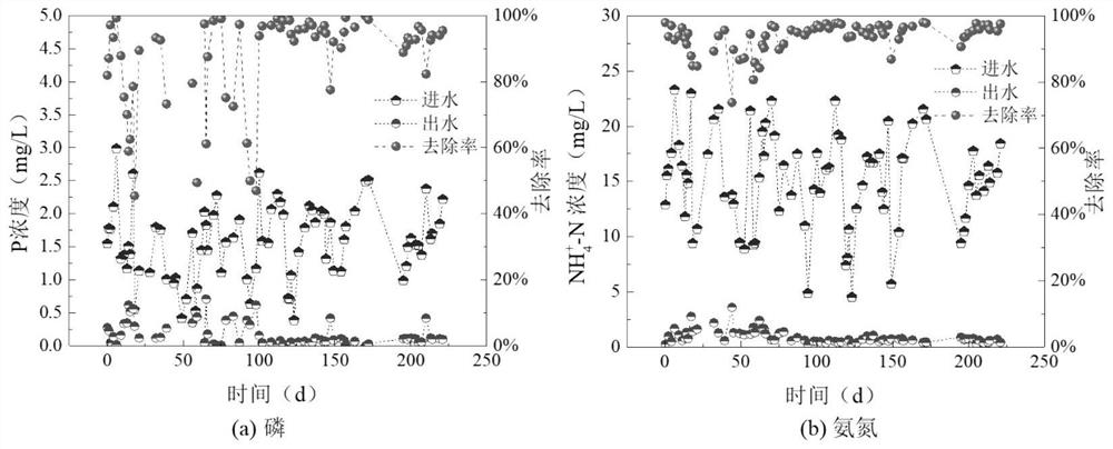 Method for coupling composite biological nitrogen removal with enhanced biological phosphorus removal