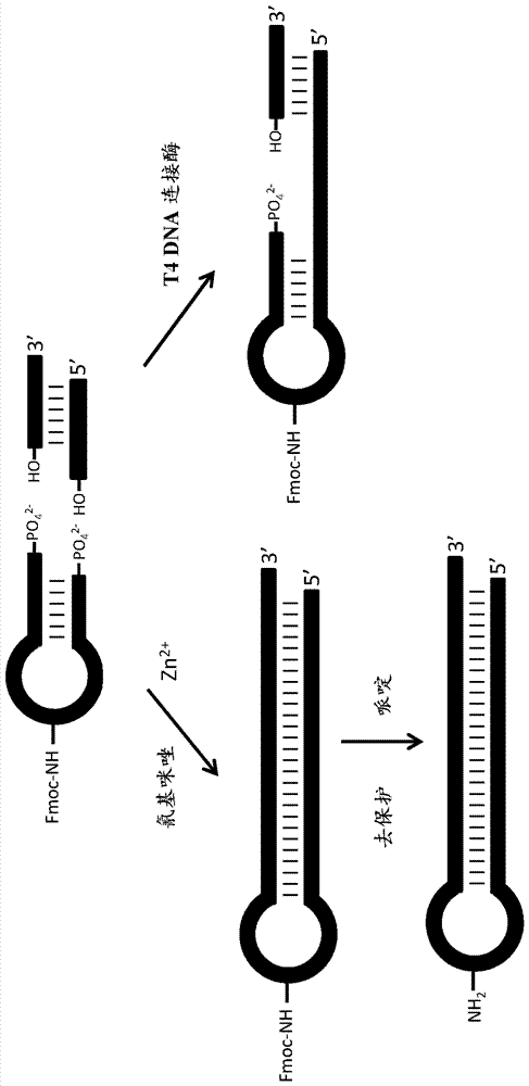 Methods for tagging dna-encoded libraries