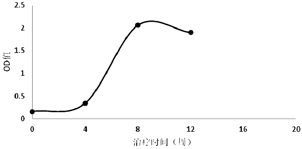 Method for obtaining tumor specific T cell receptor