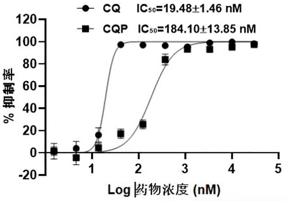 Chloroquine photoaffinity molecular probe and preparation method and application thereof