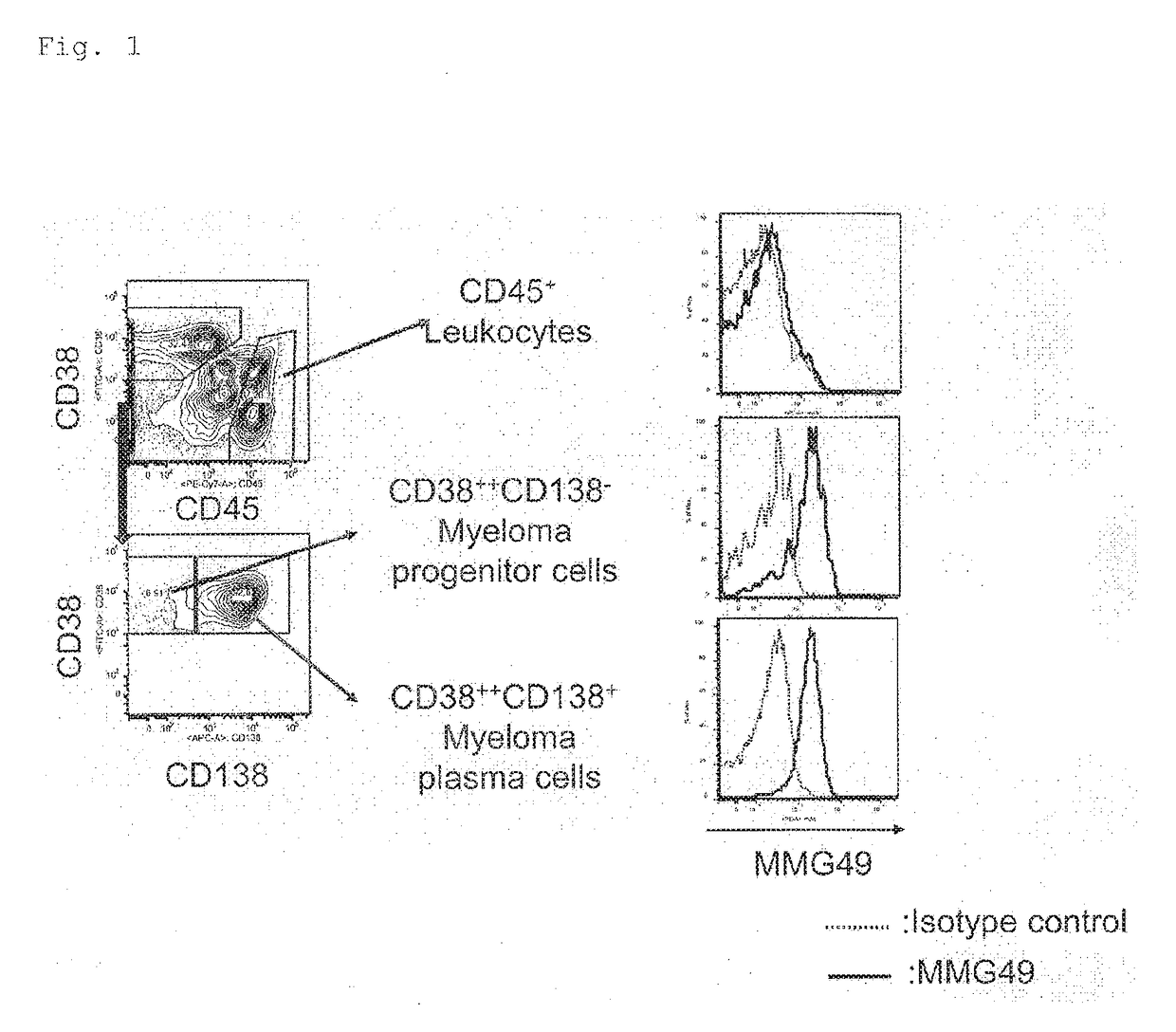 Antibody