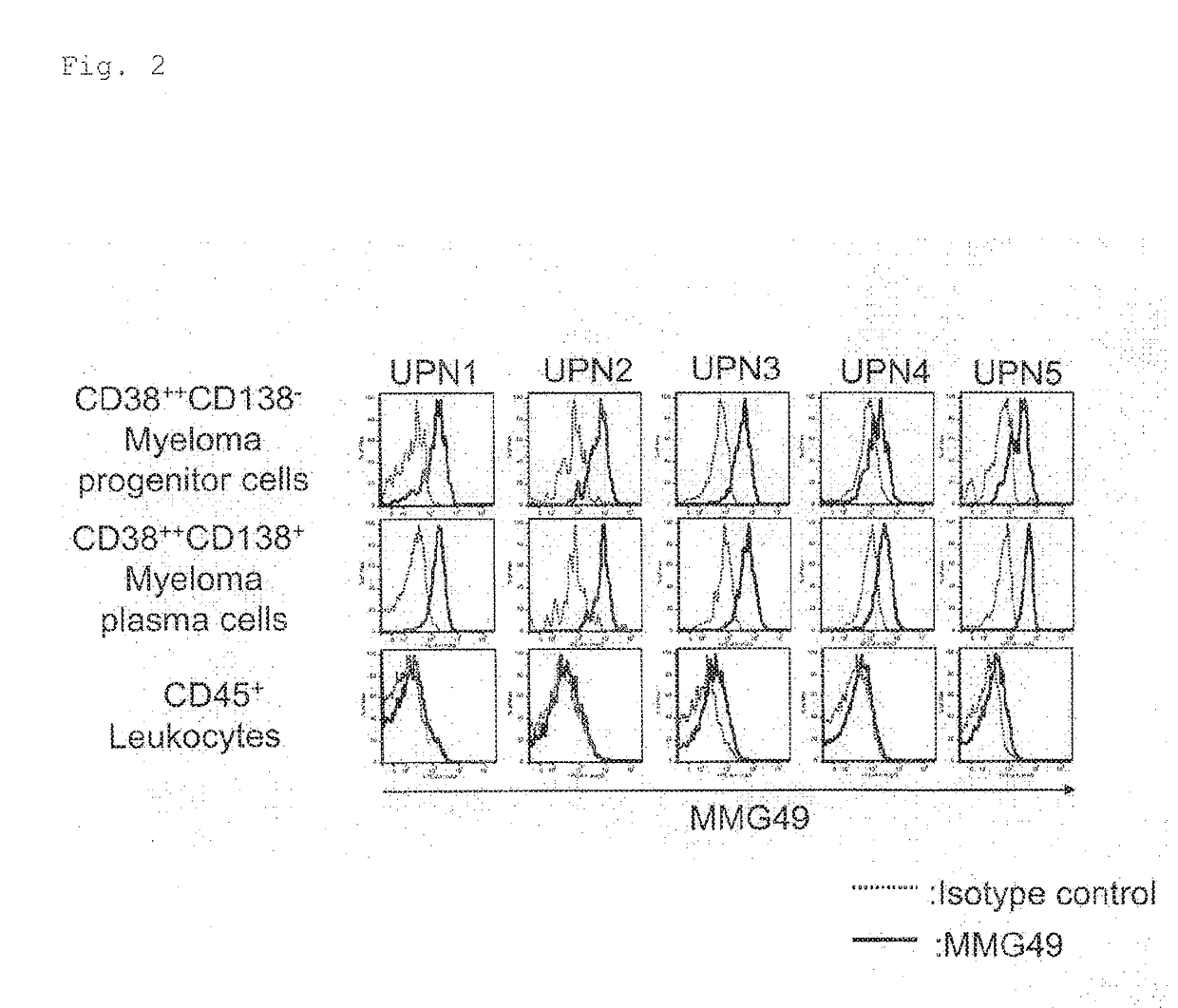 Antibody