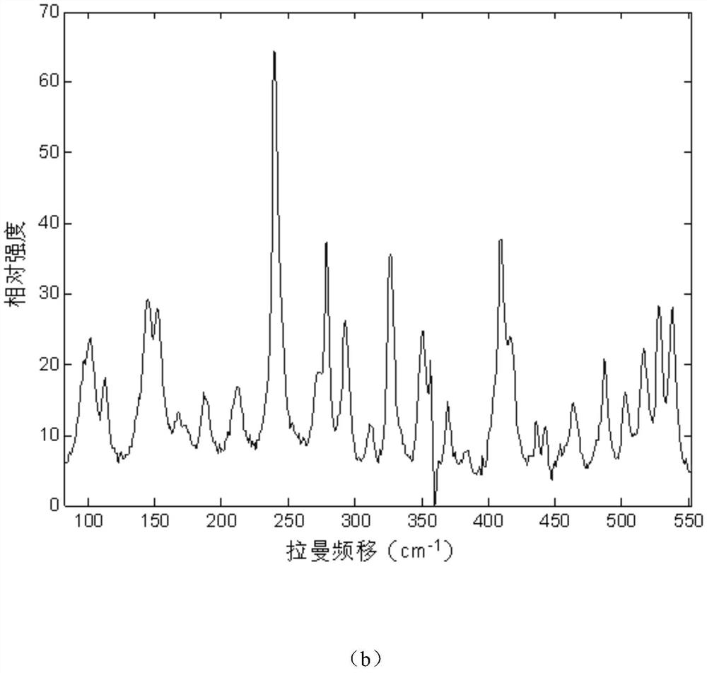 A Database-Based Raman Spectroscopy Preprocessing Method