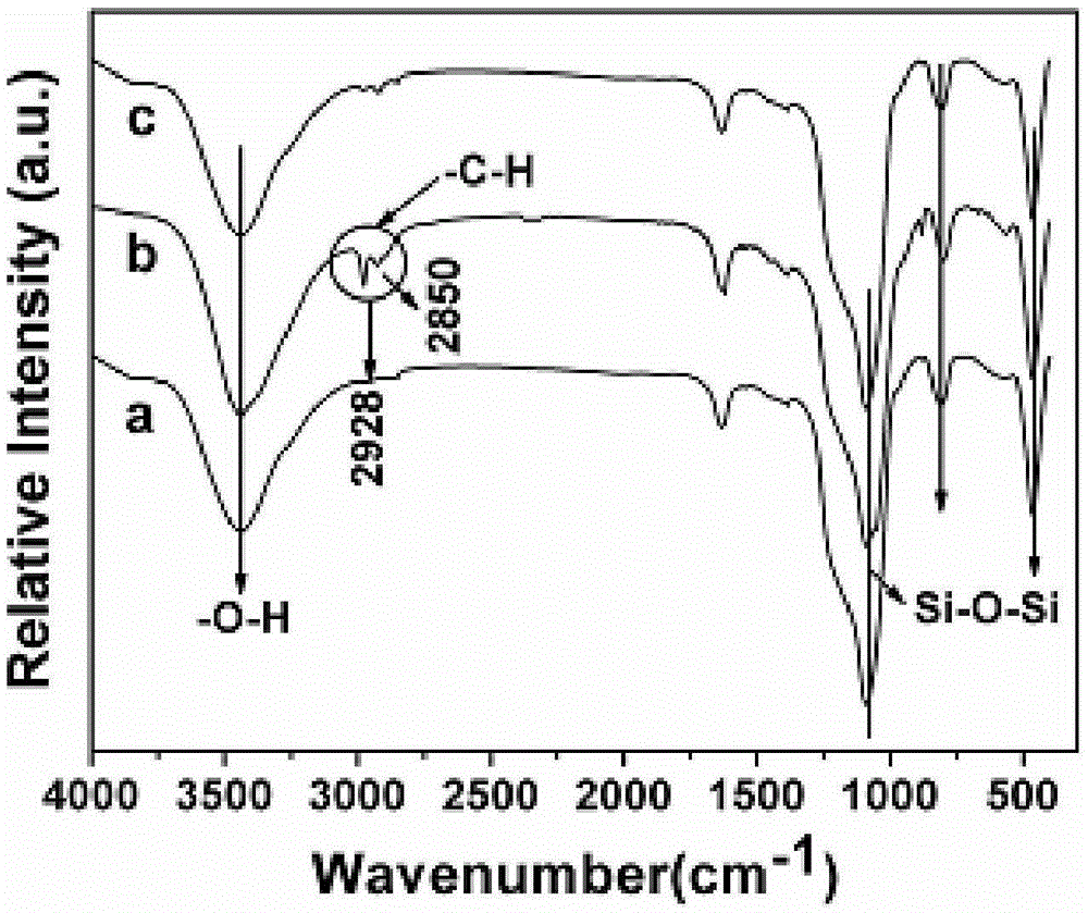 Absorption material suitable for sea water desalination, and preparation method of absorption material suitable for sea water desalination