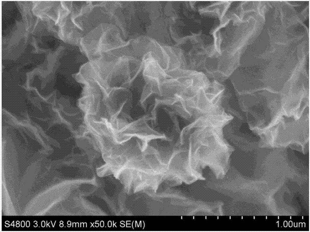 Graphene/cast nylon composite material and preparation method thereof