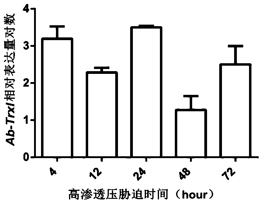 Thioredoxin-like genes, primers and applications for controlling rice stem nematode