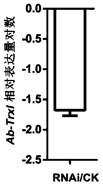 Thioredoxin-like genes, primers and applications for controlling rice stem nematode