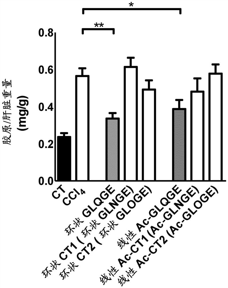 Peptides as inhibitors of fibrotic matrix accumulation