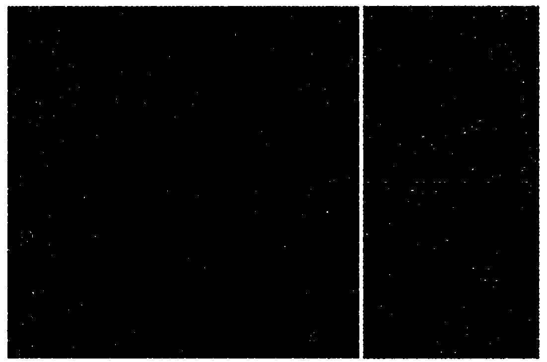 Responding type gold nano-cluster particles for blood glucose regulation and preparation method of responding type gold nano-cluster particles