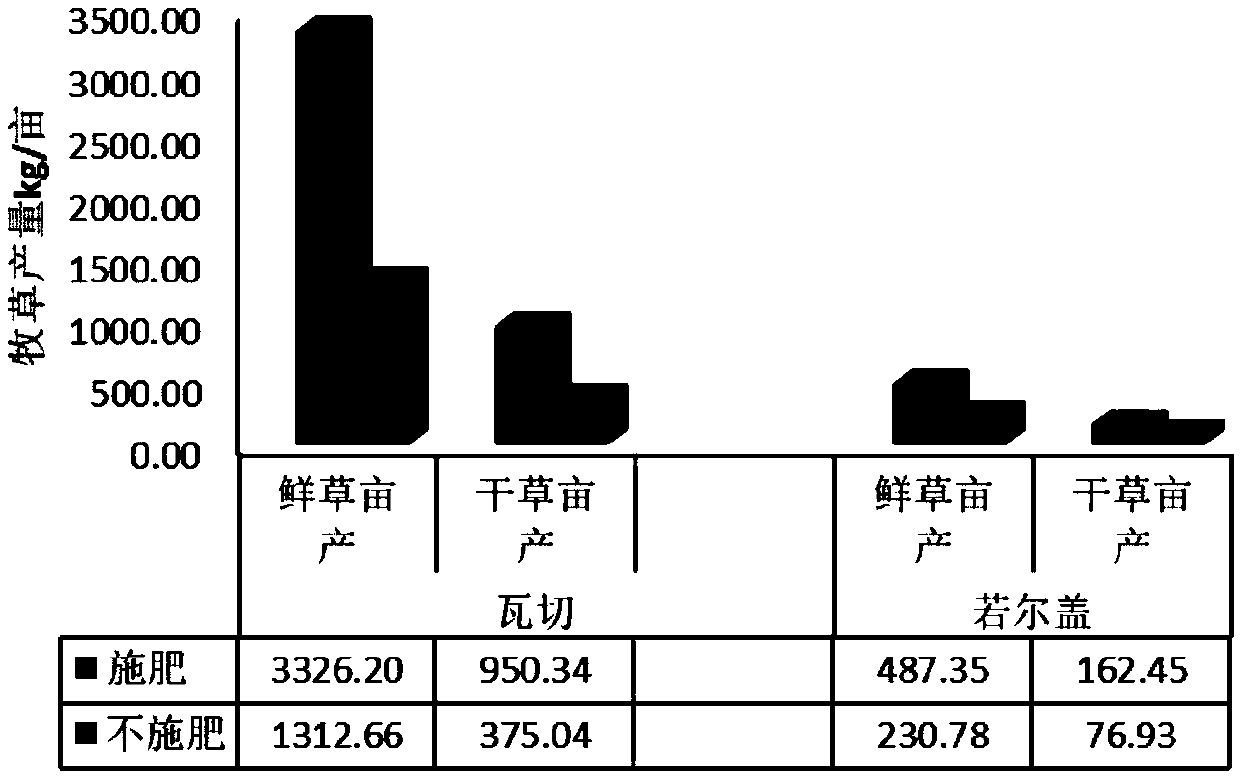 Multifunctional bio-organic fertilizer and preparation method and application thereof