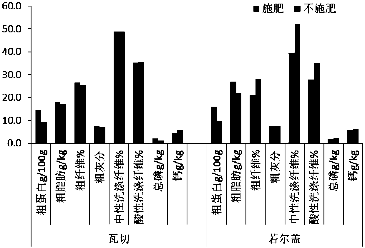 Multifunctional bio-organic fertilizer and preparation method and application thereof