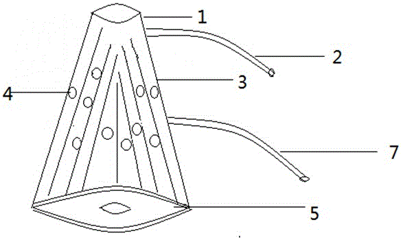 Experiment animal grasping and fixing and administration device