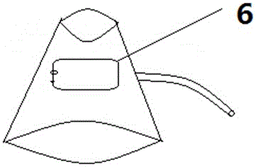 Experiment animal grasping and fixing and administration device