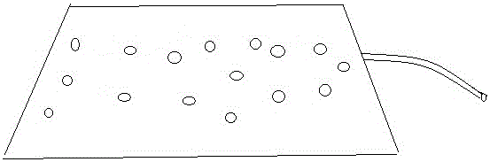 Experiment animal grasping and fixing and administration device