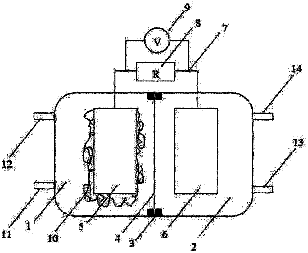 Heavy metal sensing and monitoring apparatus