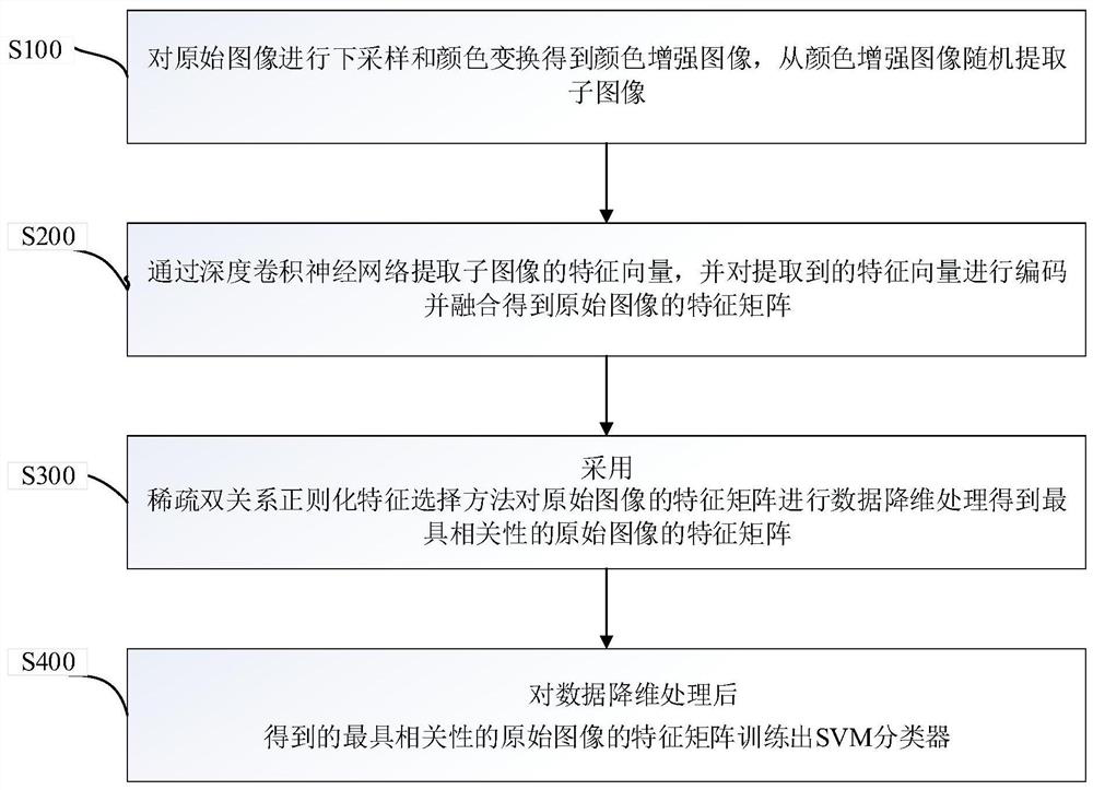 A kind of pathological image classification method and computer equipment