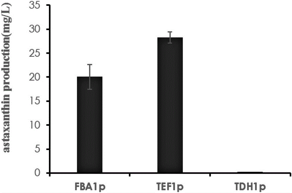 Recombinant plasmid and recombinant yeast strain and establishing method and application thereof