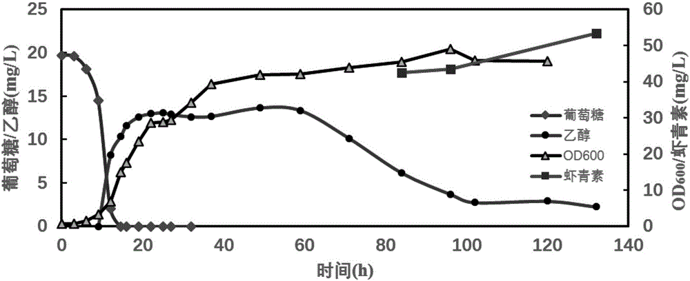 Recombinant plasmid and recombinant yeast strain and establishing method and application thereof