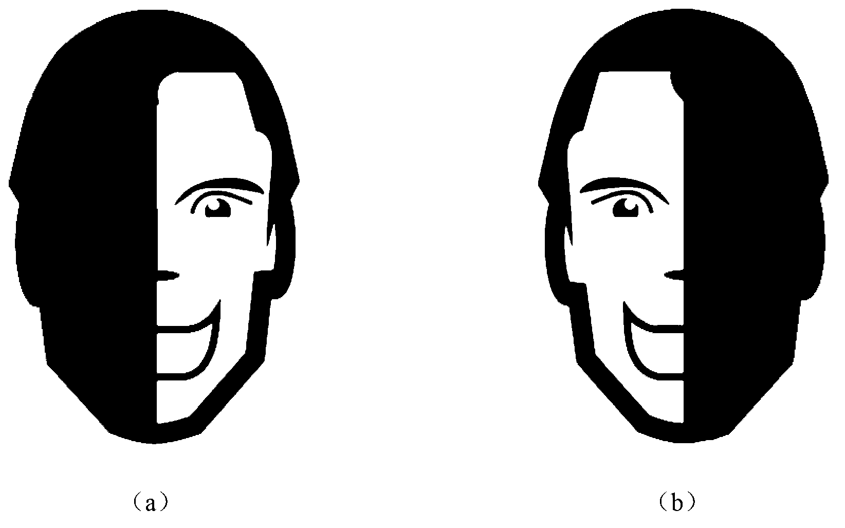 Human identification device used for face recognition system