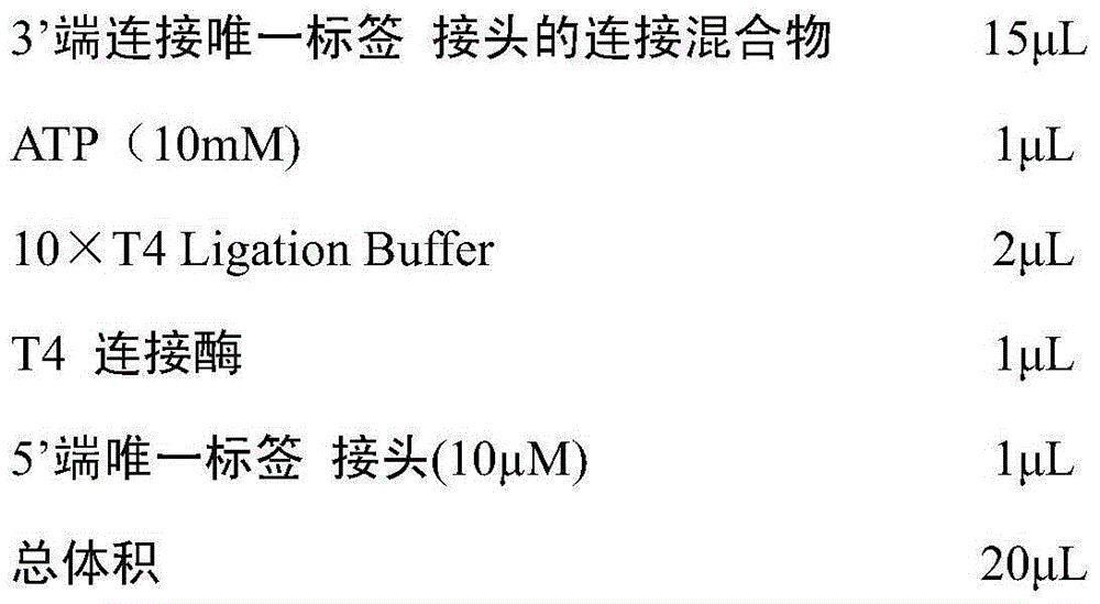 Quantitative detection method of exosome miRNA (micro ribonucleic acid)