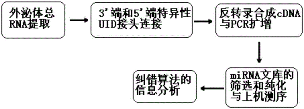 Quantitative detection method of exosome miRNA (micro ribonucleic acid)