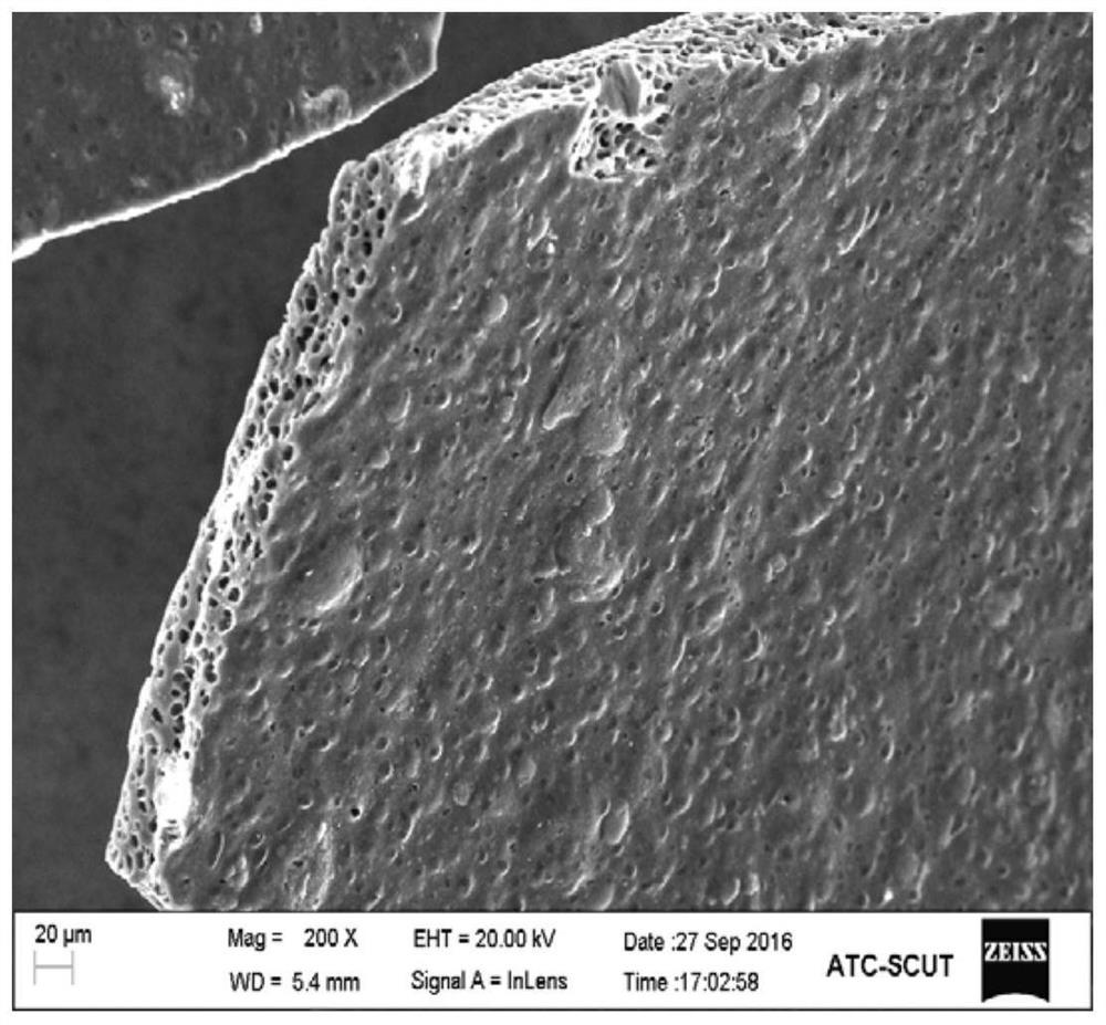 A silicon-doped carbon porous composite film for lithium ion battery and preparation method thereof