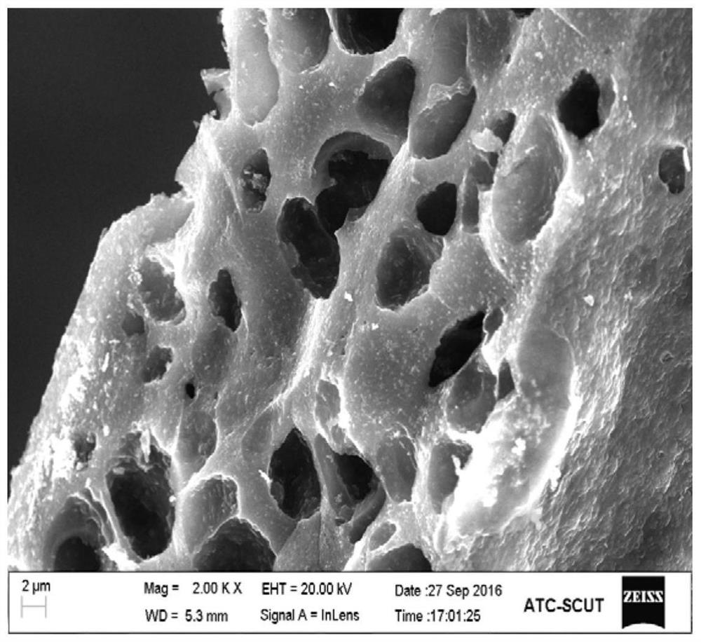 A silicon-doped carbon porous composite film for lithium ion battery and preparation method thereof