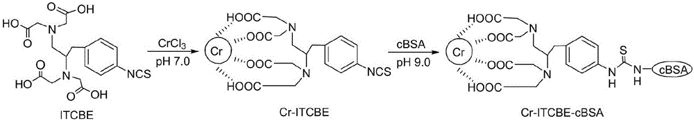 Kit for detecting chromium ions on basis of direct competitive enzyme linked immunosorbent assay and application thereof