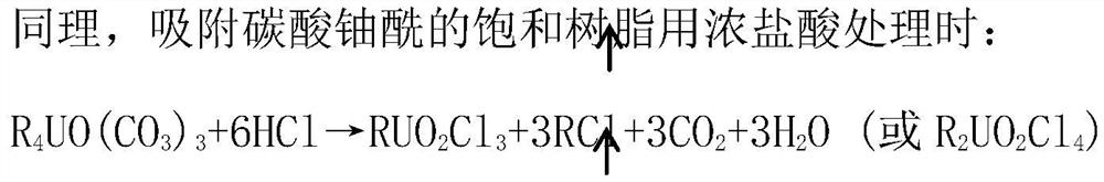 Saturated resin hydrochloric acid protonation transformation water leaching process