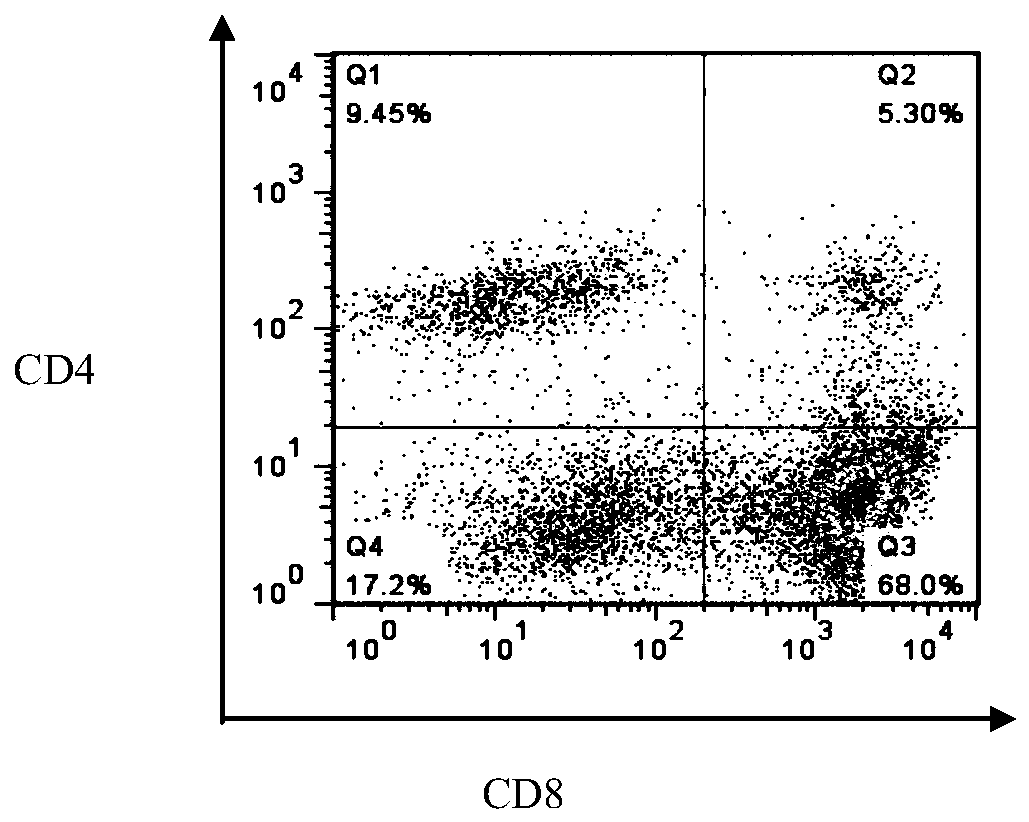 Construction method of MRFFT2 cells