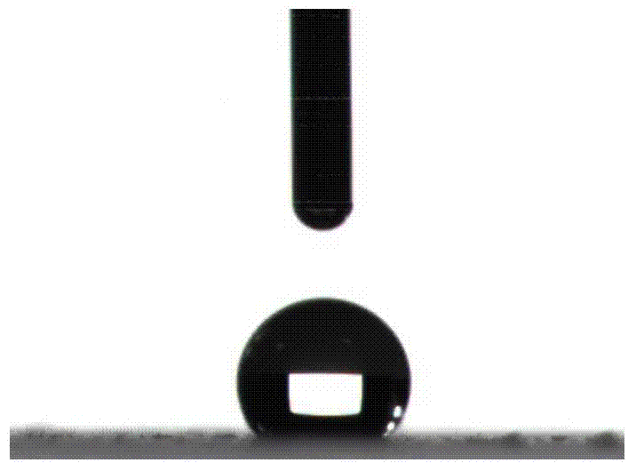 Magnetic hydrophobic self-cleaning paint and preparation method thereof