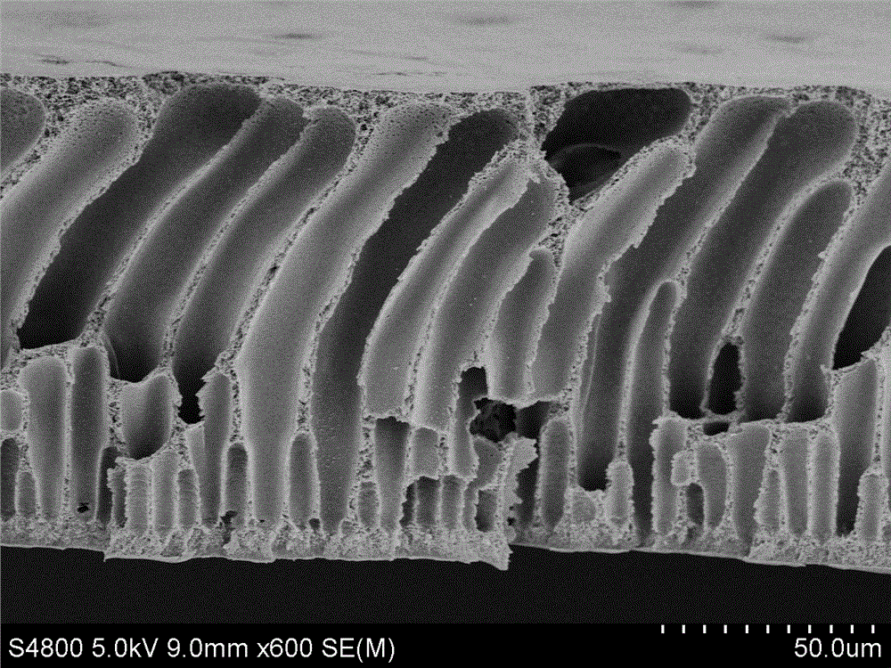 A kind of asymmetric polyimide membrane for separating methylcyclopentadiene and cyclopentadiene