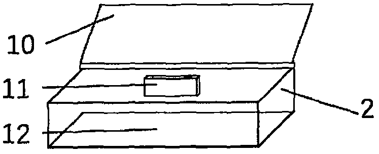 Microorganism rapid detection device