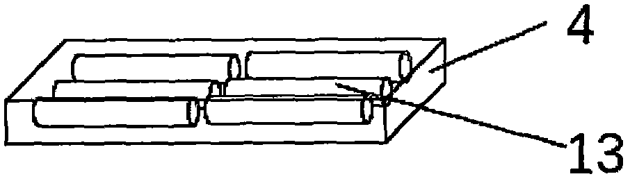 Microorganism rapid detection device