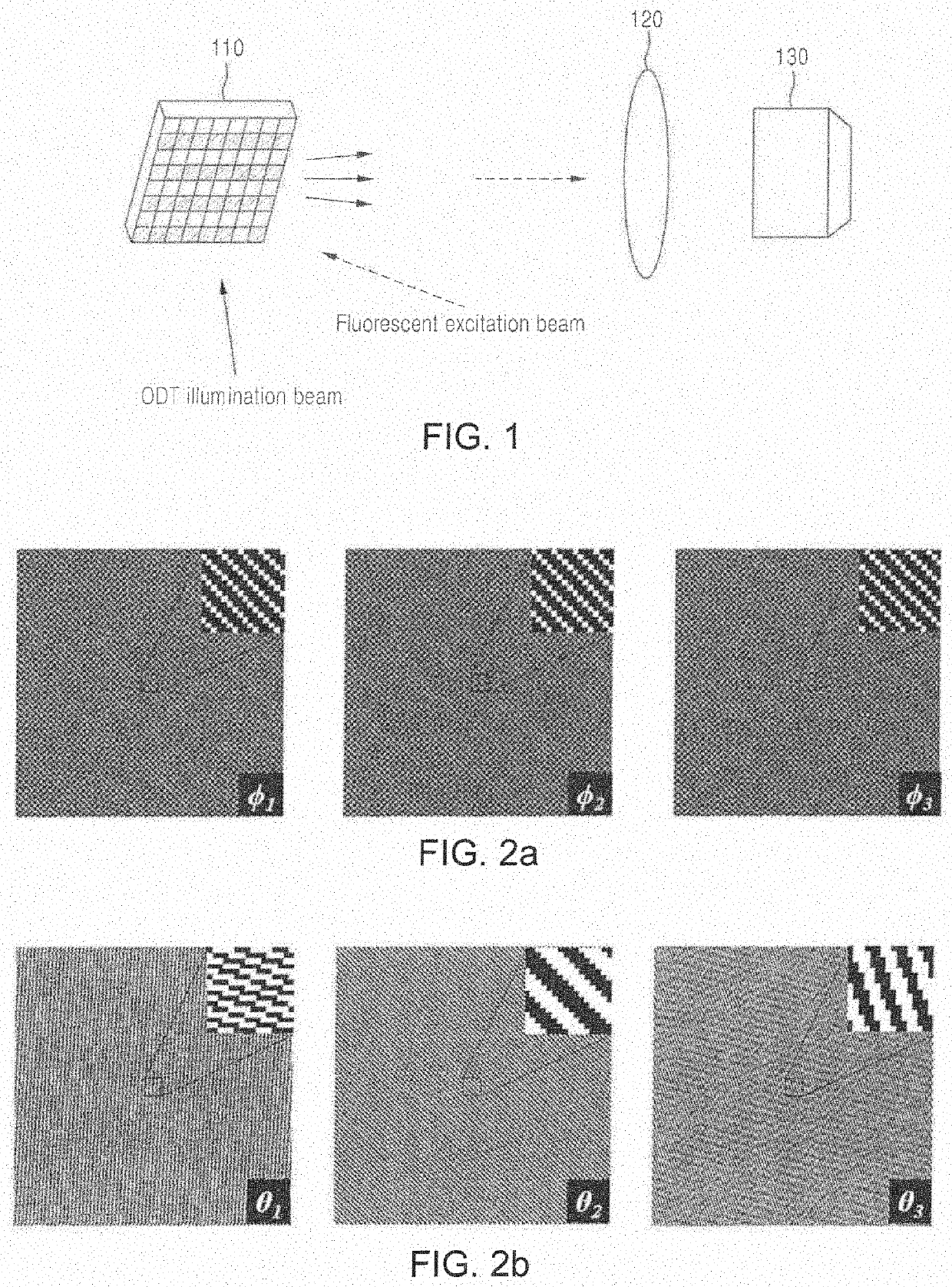 Structured illumination microscopy system using digital micromirror device and time-complex structured illumination, and operation method therefor