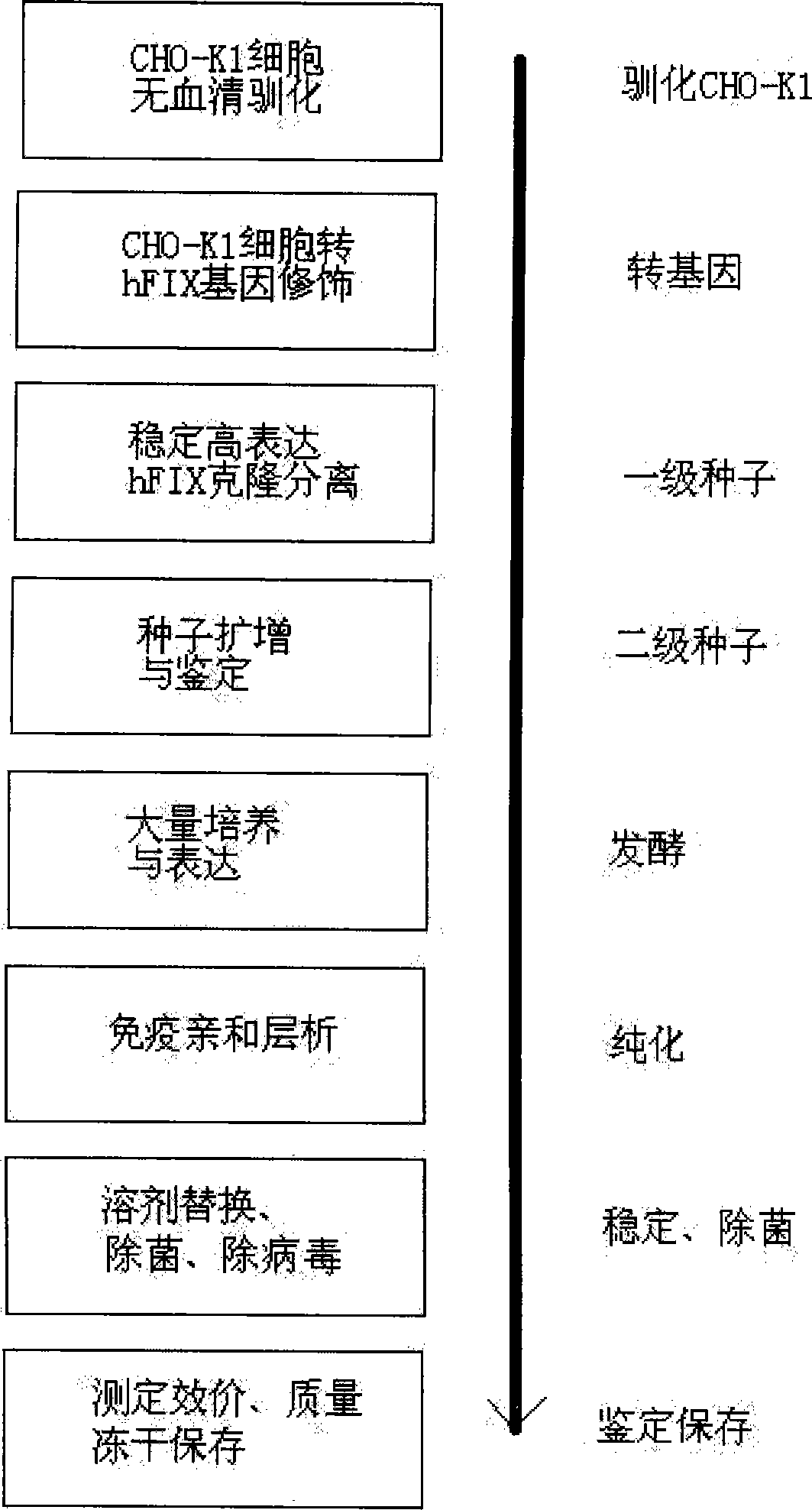 Non-blood serum preparation of recombinant human blood coagulation factor IX