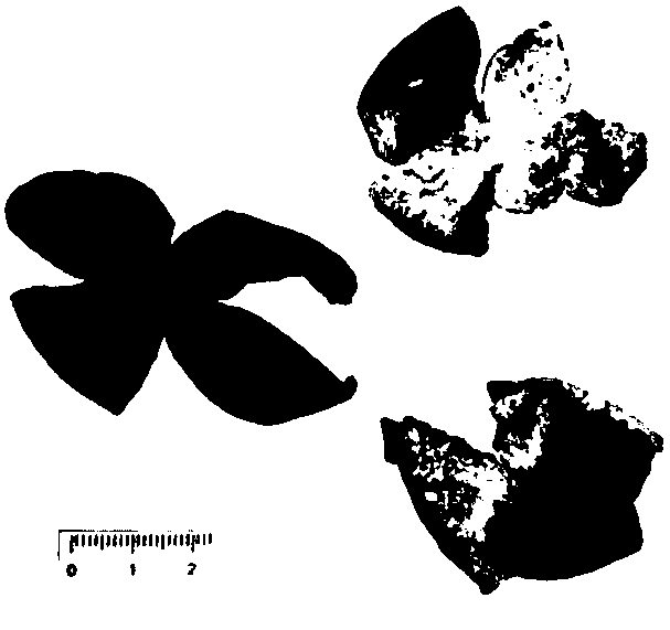 Preparation method of Qingpi control extract