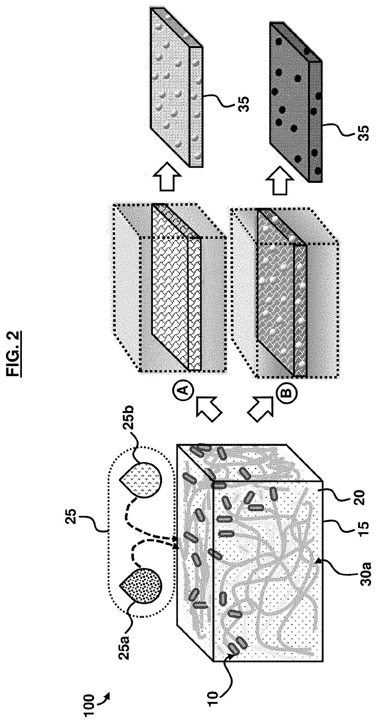 Biofabrication of advanced functional materials using bacterial cellulose scaffolds