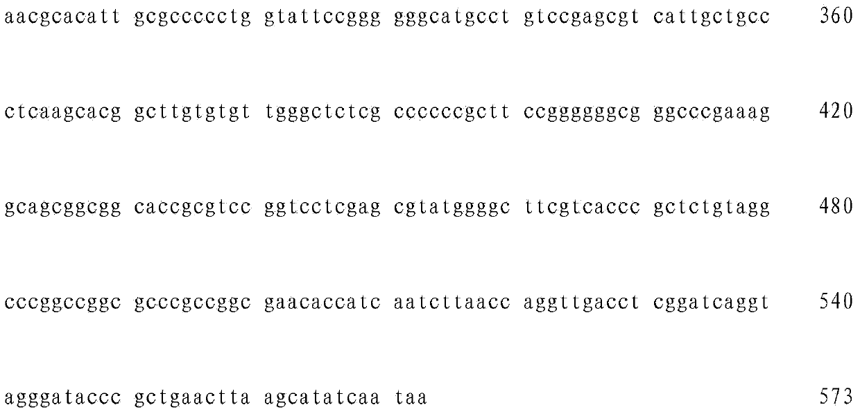 Penicillium oxalicum FH6 strain, screening method and application thereof