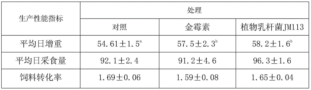 Lactobacillus plantarum JM113 and application thereof