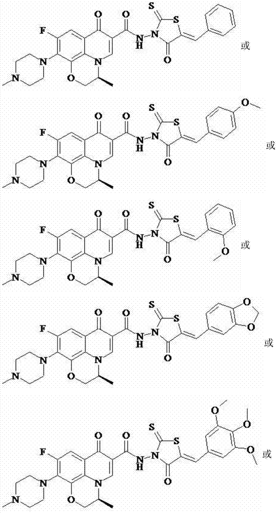 Levofloxacin (rhodanine unsaturated ketone) amide derivative and preparation method and application thereof