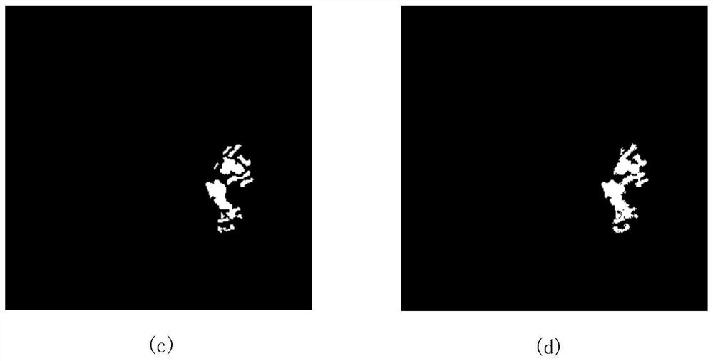 SAR image change detection method based on sparse representation and capsule network