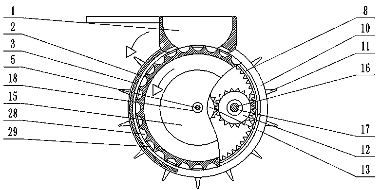 Potato seeder