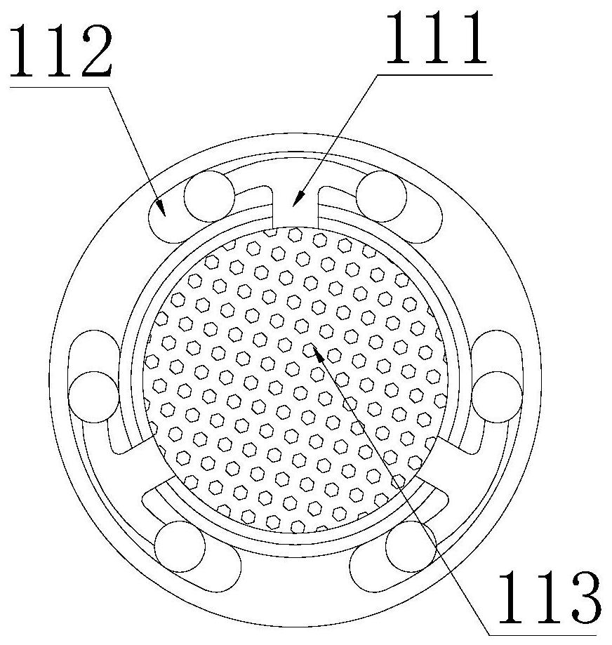 Efficient environment-friendly planktonic microorganism detection device