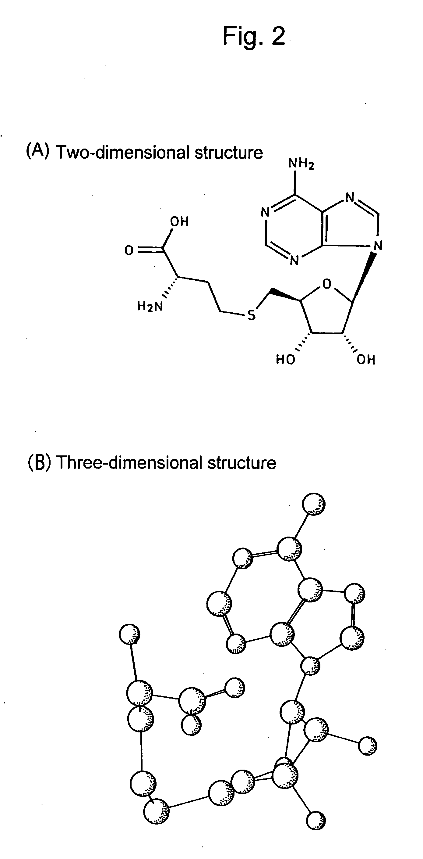 Method for Predicting the Migration Time of Ionic Compounds by Electrophoretic Measurement