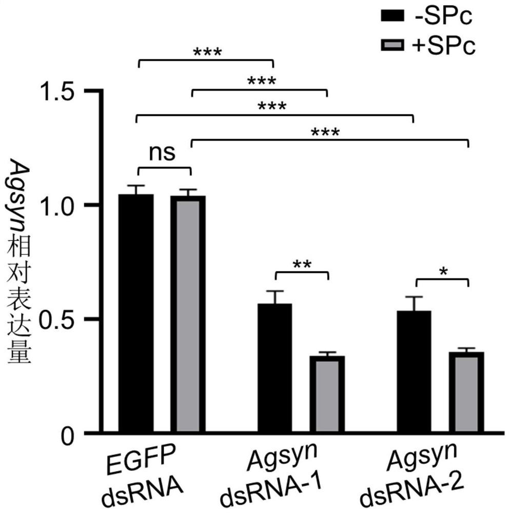 Aphid high lethal gene and application thereof in aphid control