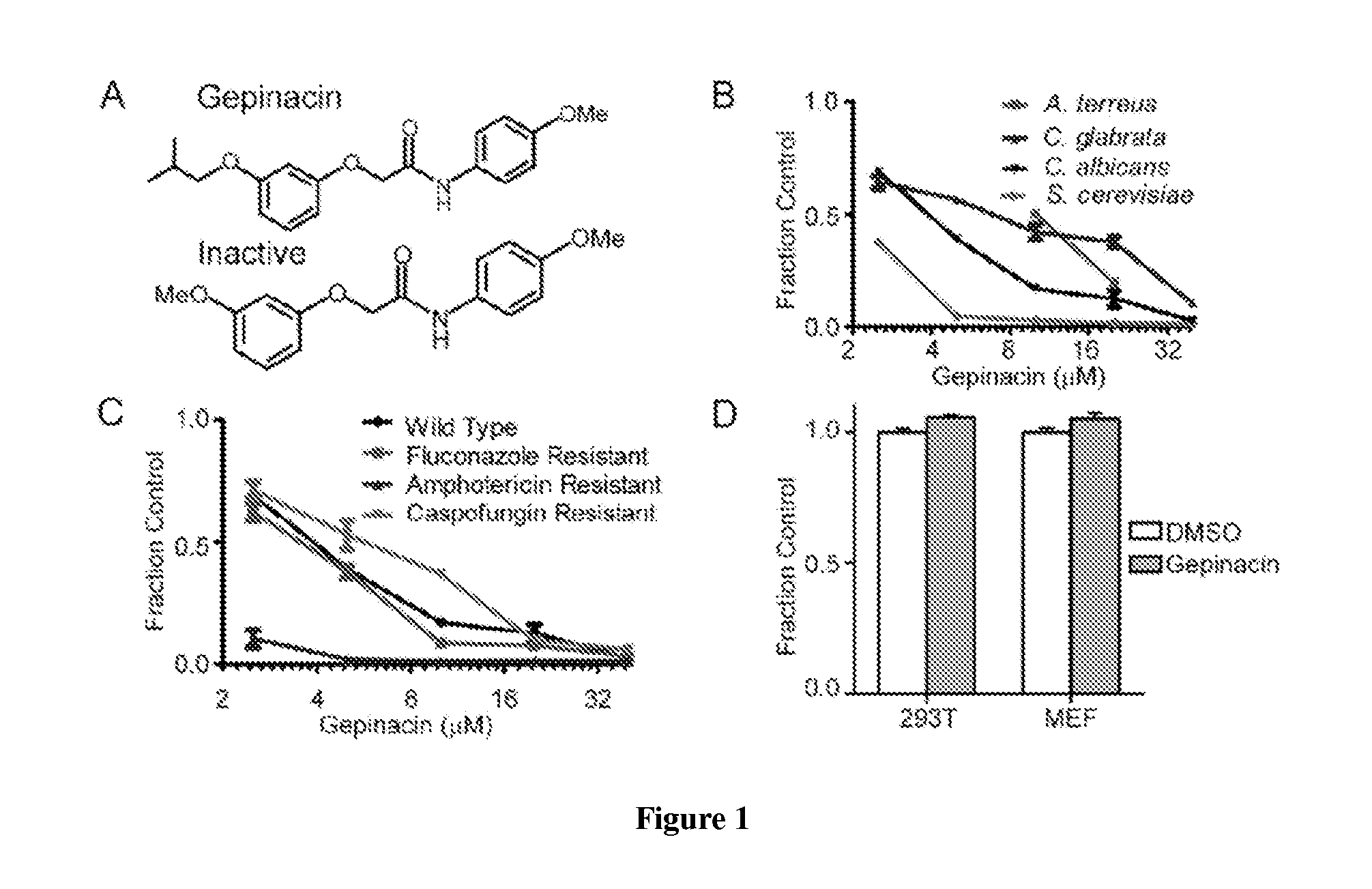 Compounds for treating infectious diseases