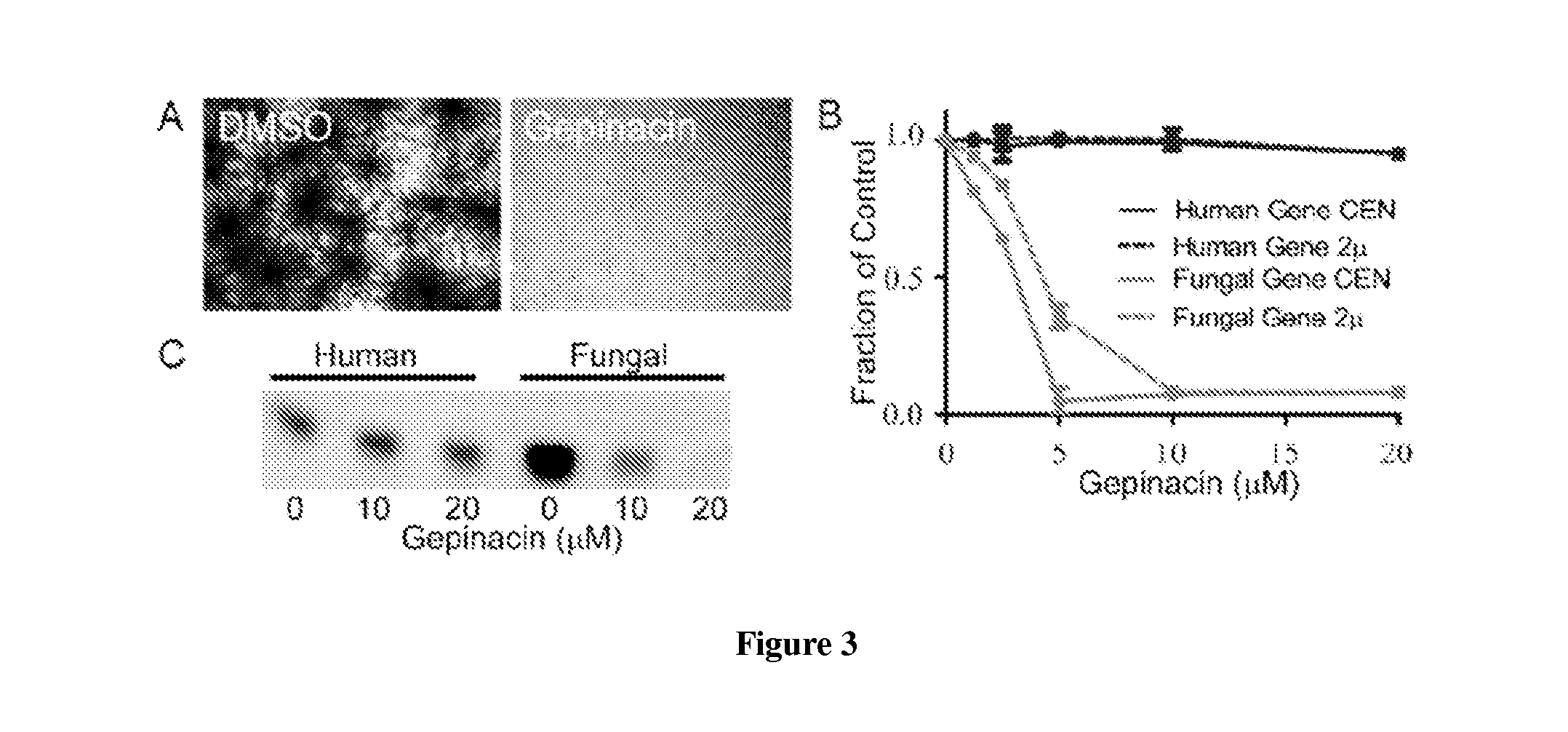 Compounds for treating infectious diseases